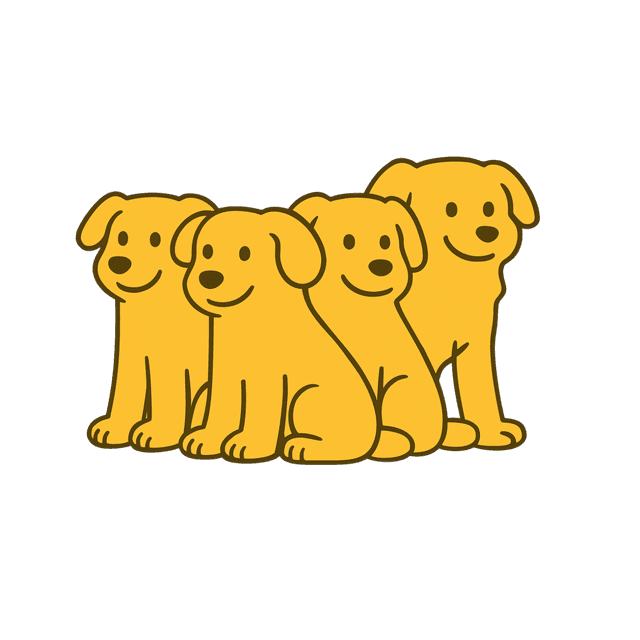 Full Pack